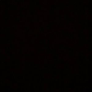 Meet your Posher, Damien